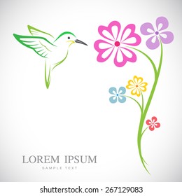 Vector design of hummingbird and flowers on white background