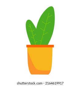 vector design, icon or symbol, plant shape illustration
