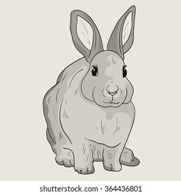 Vector design illustration with animal rabbit