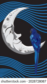 vector design illustration Crescent moon with blue parrot 