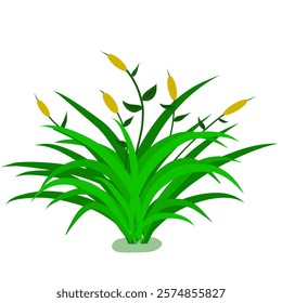 vector design illustration of grass bushes with flowers, grass cartoon texture field shape vector image, cartoon image of grass or bushes