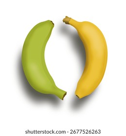 Vector design illustration of two bananas in yellow and green.
