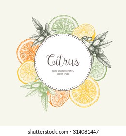 Vector design with ink hand drawn orange fruit, flowers and leaves sketch. Vintage citrus background in pastel colors