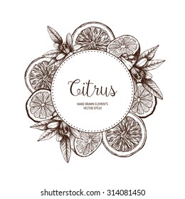 Vector design with ink hand drawn orange fruit, flowers and leaves sketch. Vintage citrus background isolated on white