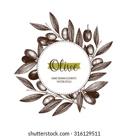 Vector design  with ink hand drawn olive tree twigs. Vintage  olive background