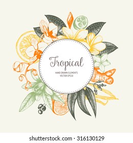 Vector design with ink hand drawn tropical fruit, flowers and leaves sketch. Vintage exotic plants background 