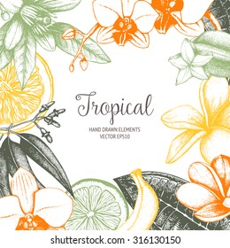 Vector design with ink hand drawn tropical fruit, flowers and leaves sketch. Vintage exotic plants background 