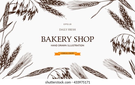 Vector design with ink hand drawn cereal crops sketches for baking house or pastry shop. Vintage bakery illustration. Farm fresh and organic plants template.