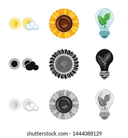 Vector design of innovation and technology icon. Collection of innovation and nature stock symbol for web.