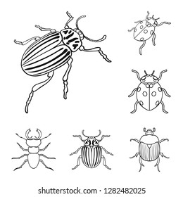 Vector design of insect and beetle icon. Set of insect and halloween stock symbol for web.