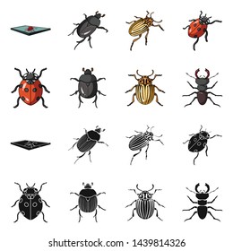 Vector design of insect and beetle icon. Set of insect and halloween stock symbol for web.