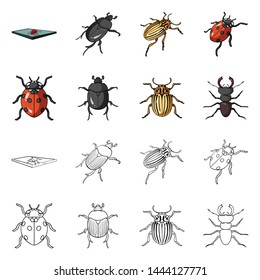Vector design of insect and beetle logo. Set of insect and halloween stock symbol for web.