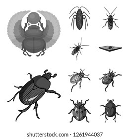Vector design of insect and beetle sign. Collection of insect and halloween stock vector illustration.