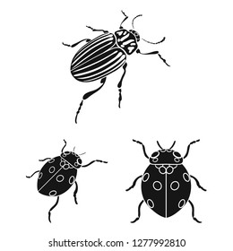 Vector design of insect and beetle sign. Collection of insect and halloween vector icon for stock.