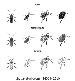 Vector design of insect and beetle sign. Set of insect and halloween stock symbol for web.