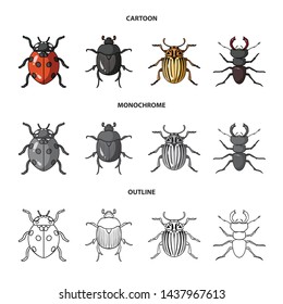 Vector design of insect and beetle sign. Collection of insect and halloween vector icon for stock.