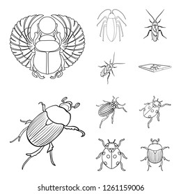 Vector design of insect and beetle symbol. Collection of insect and halloween vector icon for stock.