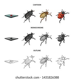 Vector design of insect and beetle symbol. Collection of insect and halloween vector icon for stock.