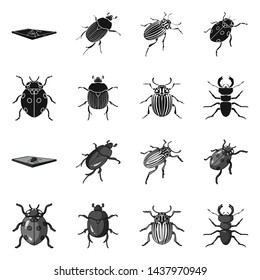 Vector design of insect and beetle symbol. Collection of insect and halloween vector icon for stock.