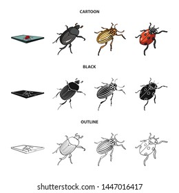 Vector design of insect and beetle symbol. Collection of insect and halloween vector icon for stock.