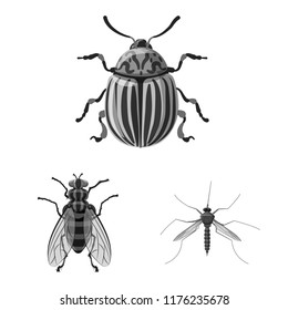 Vector design of insect and fly icon. Collection of insect and element vector icon for stock.
