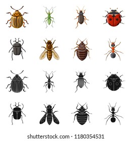 Vector design of insect and fly icon. Collection of insect and element vector icon for stock.