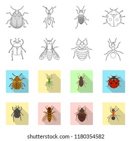 Vector design of insect and fly icon. Collection of insect and element vector icon for stock.