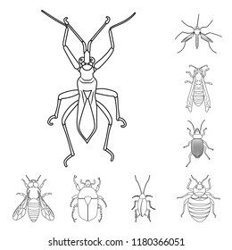 Vector design of insect and fly icon. Set of insect and element vector icon for stock.