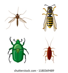 Vector design of insect and fly icon. Collection of insect and element vector icon for stock.
