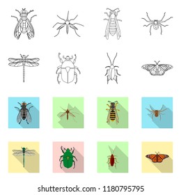 Vector design of insect and fly icon. Collection of insect and element stock vector illustration.