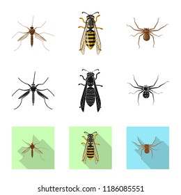 Vector design of insect and fly icon. Collection of insect and element stock vector illustration.