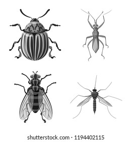 Vector design of insect and fly icon. Set of insect and element vector icon for stock.