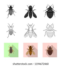 Vector design of insect and fly icon. Set of insect and element vector icon for stock.