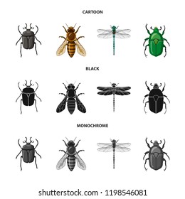 Vector design of insect and fly icon. Collection of insect and element stock symbol for web.