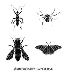 Vector design of insect and fly icon. Set of insect and element stock vector illustration.