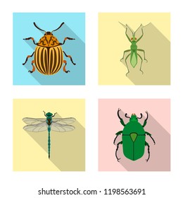 Vector design of insect and fly icon. Set of insect and element stock symbol for web.