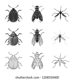Vector design of insect and fly icon. Collection of insect and element vector icon for stock.