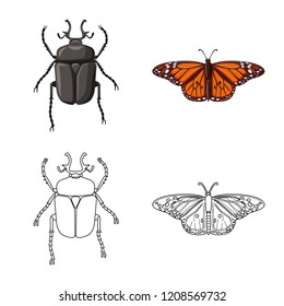 Vector design of insect and fly icon. Set of insect and element stock symbol for web.