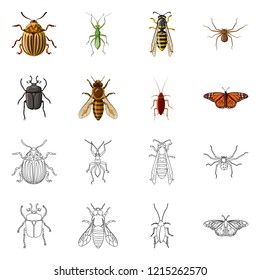 Vector design of insect and fly icon. Collection of insect and element stock symbol for web.