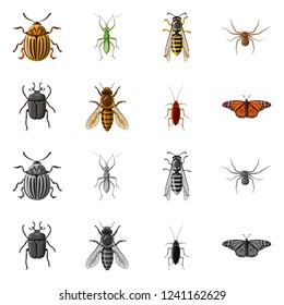 Vector design of insect and fly icon. Collection of insect and element vector icon for stock.