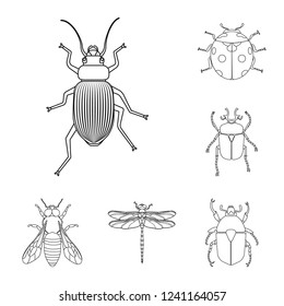 Vector design of insect and fly icon. Set of insect and element vector icon for stock.