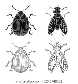 Vector design of insect and fly icon. Set of insect and element stock vector illustration.
