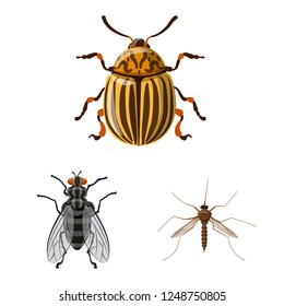Vector design of insect and fly icon. Set of insect and element stock vector illustration.