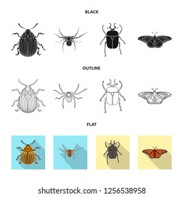 Vector design of insect and fly icon. Set of insect and element stock vector illustration.