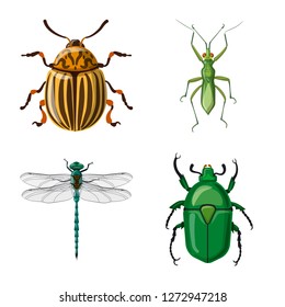 Vector design of insect and fly icon. Collection of insect and element stock symbol for web.