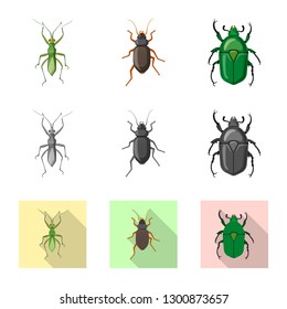 Vector design of insect and fly icon. Collection of insect and element vector icon for stock.