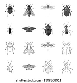 Vector design of insect and fly icon. Set of insect and element vector icon for stock.