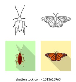 Vector design of insect and fly icon. Set of insect and element stock vector illustration.