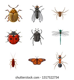 Vector design of insect and fly icon. Collection of insect and element vector icon for stock.