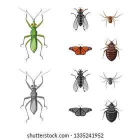 Vector design of insect and fly icon. Collection of insect and element stock symbol for web.
